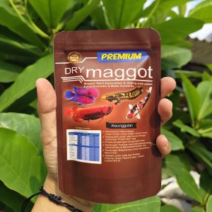 PREMIUM DRY MAGGOT Magot Kering Steril plus Probiotic & BettaCarotene