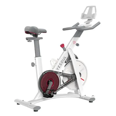 Yesoul S3 Spin Bike ★ Official Sole SG Distributor ★ 6.5Kg Flywheel ★ Magnetic Resistance ★ Interactive Mobile APP