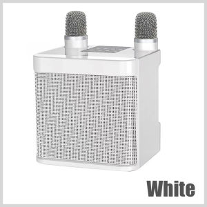 [In Stock] Home KTV Bluetooth Speaker with Wireless Microphone Set - All-in-One Karaoke System Home Audio and Video