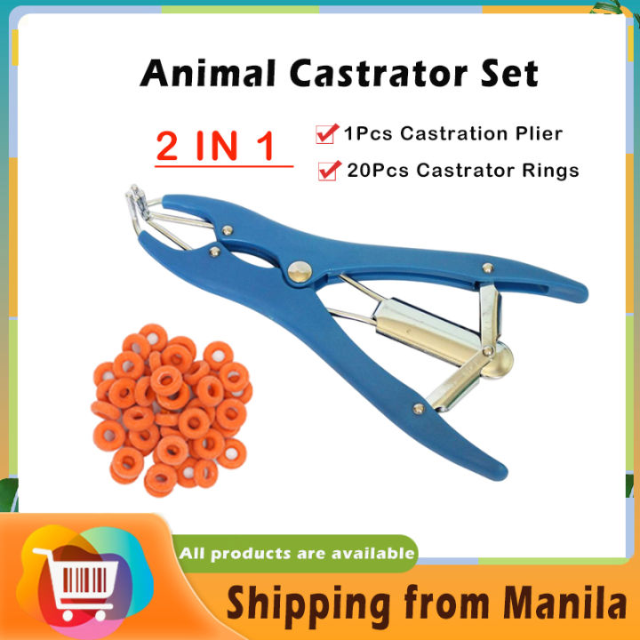 LFM Large Castration Bander Elastrator Tool – Stainless Steel, XL 4" Opening, With 25 Rubber Bands, For Bulls, Calves, Goats, Sheep, Horses