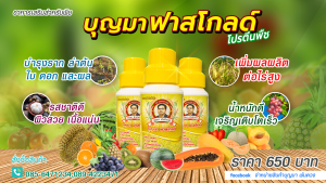 บุญมาฟาสโกลด์ อาหารเสริมพืช (โปรตีนพืช)