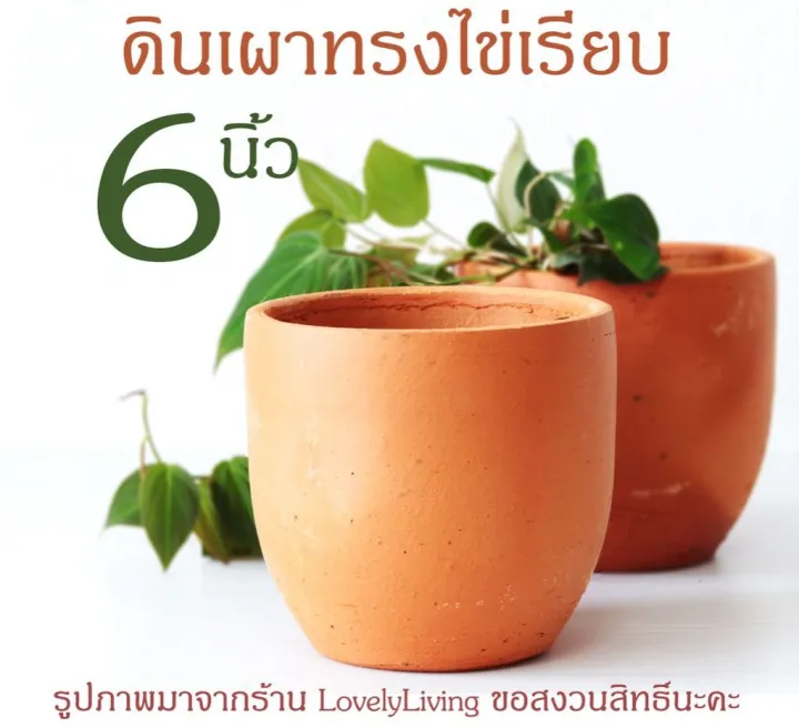 กระถางดินเผาทรงไข่เรียบ 6 นิ้ว