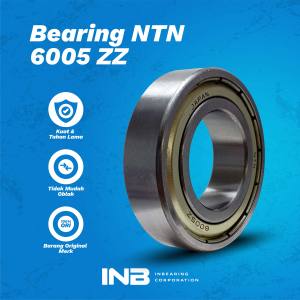 Laker Bearing 6005 ZZ NTN Bearing Noken As KLX 150 Tiger Scorpio INB Original NTN