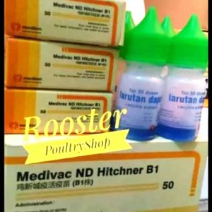 Medivac Vaksin Anak Ayam Menetas B1 Hitcher Sebanyak 10 Botol Dosis 50