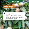Infarm Fruit Expert Asupan Nutrisi Perangsang Buah. 