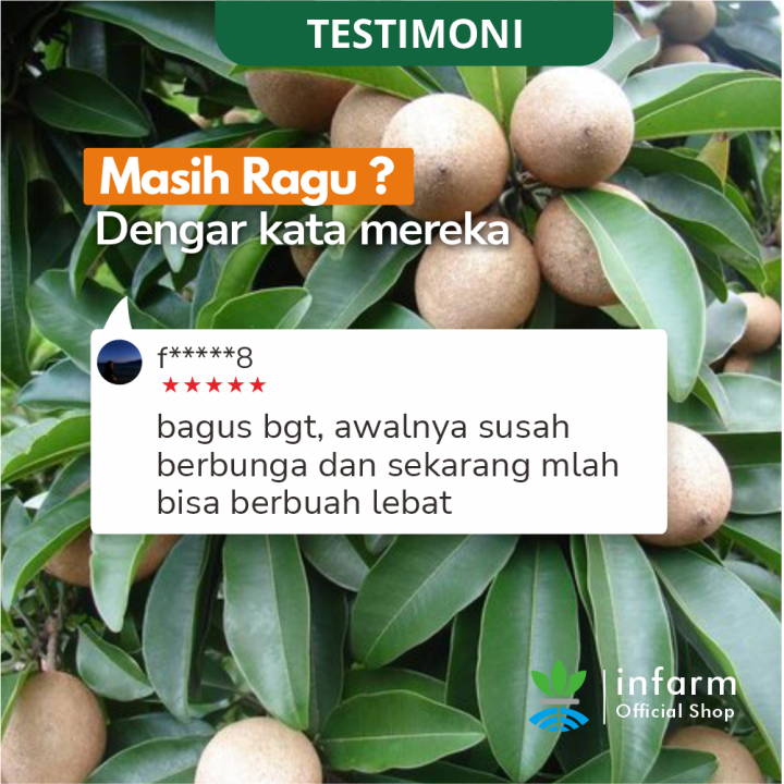 Infarm%20Fruit%20Expert%20Asupan%20Nutrisi%20Perangsang%20Buah%20-%20Image%204