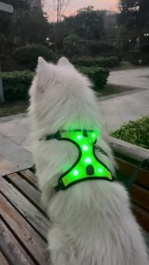 Pet Leash Vest ，USB Charging Night Reflective ，LED Glowing Dog Harness