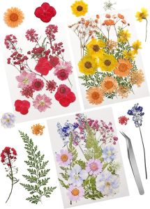 Real Dried Pressed Leaves Natural Dried Leaf for Candle Resin Jewelry Soap Nail Pendant Phone Case Crafts Making Floral Decors Scrapbooking DIY (40 Pcs Real Dried Leaves Flowers)