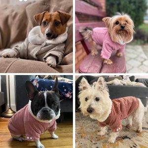 IFFINE Windproof Dog Warm Clothes Winter Plush Lining Dog Hiking Jacket Fashion Cute Dog Bodysuit for Small Medium Dog