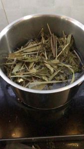 Lá xông thảo dược Lá xông sau sinh lá xông nhà