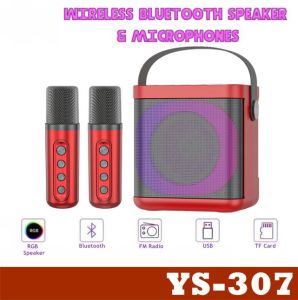 YS-307 Portable Karaoke Dual Microphone Bluetooth Strong Bass Professional Hi-Fi Multi Function Speaker with Handle