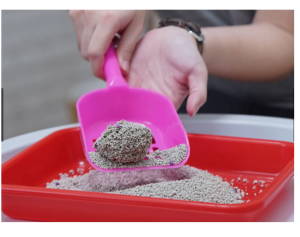 1 KG-PASIR KUCING-GUMPAL WANGI-REPACK