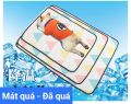 [HCM][Size to] Thảm mát cho chó mèo chất liệu LỤA BĂNG tản nhiệt - Đệm mát lót chuồng cho thú cưng không thấm nước 60x40cm. 