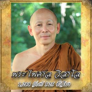 USB MP3 แฟลชไดร์ฟธรรมะ ชุดที่ 10 พร้อมแถมฟรีเสียงธรรมะพระไพศาล วิสาโล (1288 กัณฑ์ 525 ชั่วโมง)