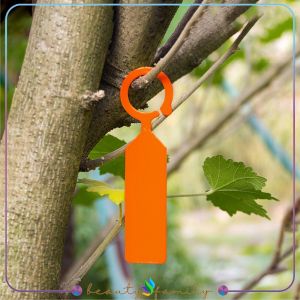 BF-C1164 Plant Label Name Tag Label Penanda Tanaman Hanging Ring / Label Tanaman Waterproof Gantung