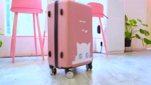LZD  Cartoon Luggage 20 Travel Trolley Case Universal Wheel 24 Male and Female Students 26 Pas Suitcase 28 Inch  Tide