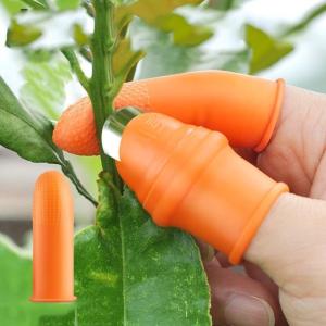 Găng Tay Làm Vườn Gắn Dao Inox COMBO 2 BỘ – Găng Tay Hái Trái Cắt Rau Thu Hoạch Chống Trượt