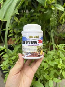 Kích rễ cực mạnh Rooting 3M (ThiDico) - Hủ nhựa 100gr !