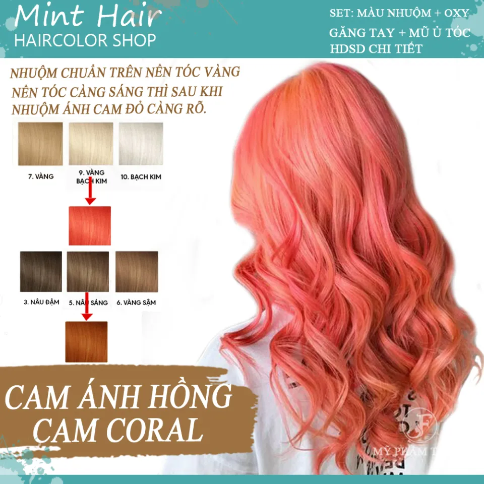 5PCS/Bộ clip tóc màu hồng uốn dành cho nữ giới nhiều màu sắc Phụ kiện -  Trung Quốc Phụ kiện tóc y đồ kim hoàn tóc giá