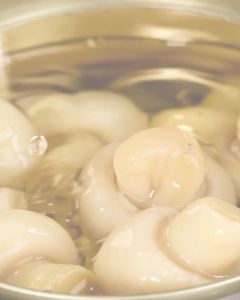 Hosen Quality Whole Mushroom 425g – Fresh Premium Mushrooms for Cooking & Recipes