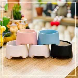 Chậu Sứ Trồng Cây Cảnh Mini Ba Chân Thấp Trồng Sen Đá Xương Rồng Cây Cảnh Mini