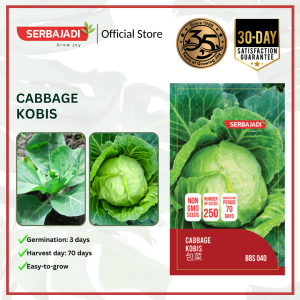 Serbajadi Vegetable Seed Cabbage | Leafy Vegetable | Biji Benih Sayur Kobis | 卷心菜种子 | 1g
