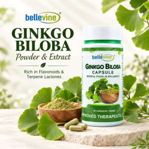 Bellevine Ginkgo Biloba Capsules 500mg 60s |  Mental Focus Memory & Brain Health Support Supplement | Rich in Flavone Glycosides for Healthy Blood Flow Nervous System & Cognitive Support