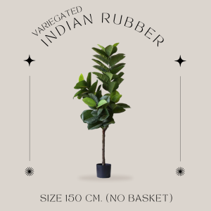 [PRE14วันค่ะ]🪴INDIAN RUBBER TREE ต้นยางอินเดียปลอม ฟอร์มสวยมาก ใบเหมือนจริงมากๆ มินิมอลดูดี แต่งบ้านสวยสุดๆ