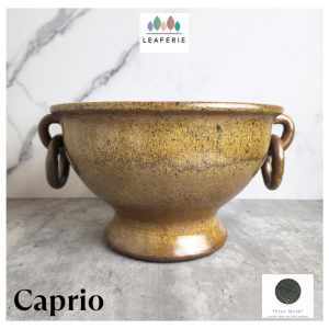 The Leaferie Caprio Plant pot Ceramic flowerpot flower plant No drainage fish bowl tank