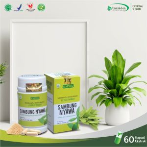 Kapsul Sambung Nyawa Obat Kolesterol Tinggi Herbal