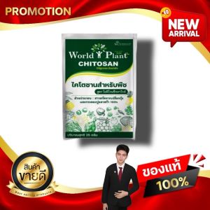 เวิลด์แพลนท์ไคโตซาน สำหรับพืช สูตรโอลิโกแซ็กคาไรด์ เพิ่มผลผลิตพืชทุกชนิด WCI kaideeshop888 ของแท้100%