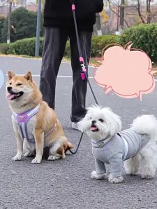 Double Dog Leash for 2 Dogs Hands Free Dog Rope Leash Waist Shoulder Wear Dogs Walking Running