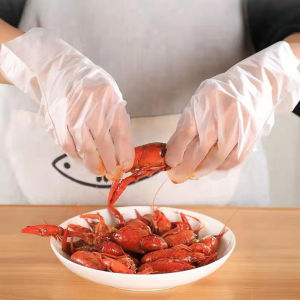 [Eqrbtl] 50pcs box Latex Free Gloves TPE Disposable Gloves Transparent Non-Slip Acid Work Safety Food Grade Household Cleaning Gloves