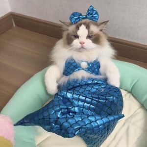 Cat Mermaid Costume Creative Cat and Dog Costumes Funny Cat Mermaid Costume Cat Mermaid Fishtail Dress Puppy Mermaid Fishtail DressMermaid Costume Humor Funny Photo Props (Pink)