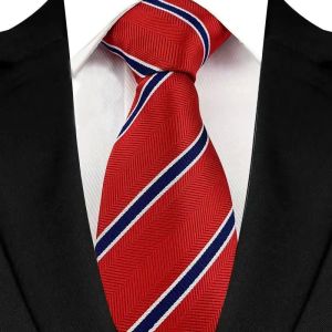 8cm Mens Classic Jacquard Woven Wedding Party Business Neckties Solid Striped Plaid Floral Dot Red Marron Color Neck Ties Neckwear for Man Formal Dress Gravata Corbatas
