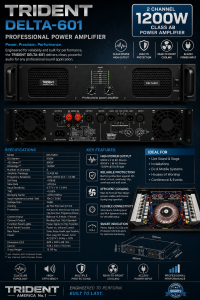 TRIDENT DELTA-601 Power Amplifier 600watts RMS 2 channel Pure Copper