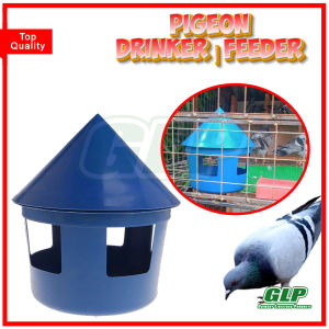 GLP Pigeon Feeder / Water Drinker | Birds Food Container or Waterer Multi Functional Dispenser House
