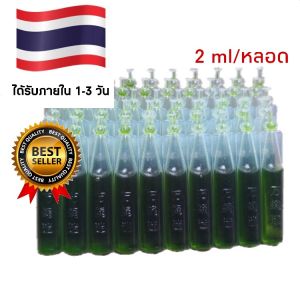 (เฉพาะสารล่อ)สารล่อ น้ำยาล่อ ฟีโรโมนล่อแมลงวันทอง แมลงวันผลไม้ ปริมาณ 2 ml./หลอด คุณภาพส่งออก ราคา/หลอด