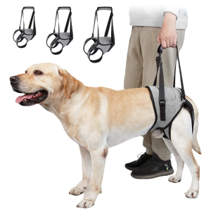 Practical Dog Rear Leg Brace Support Mobility Assistance Adjustable Lifting Harness For Elderly Disabled Breeds Walking