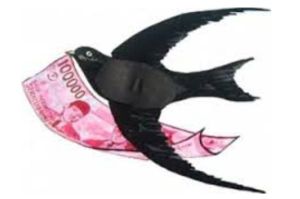 Suara Panggil Walet Luar Piro - Lagu Walet Super Unik Hipnotis Burung Walet