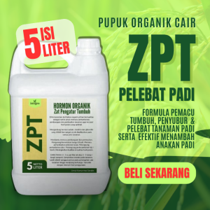 Pupuk ZPT Pelebat Buah Padi / Obat Semprot ZPT Padi / ZPT Penambah Anakan Padi / Pupuik ZPT Padi