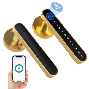 TUYA Digital Lock Smart Handle Lock Set Fingerprint Key Password Lock Electronic Password Lock Fingerprint door lock