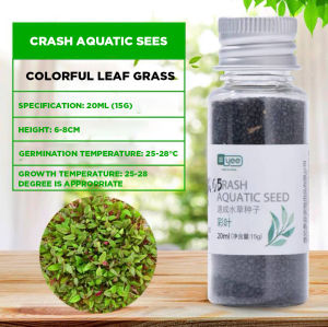 YEE Aquarium Plant Seed Waterseed For Aquarium Plant For Fish Tank Easy To Plant With No CO2 High Germination Rate