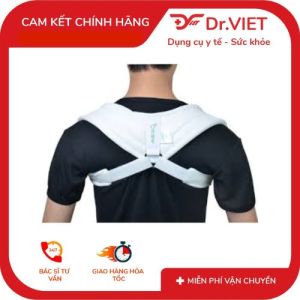 Đai số 8 H1-ORBE