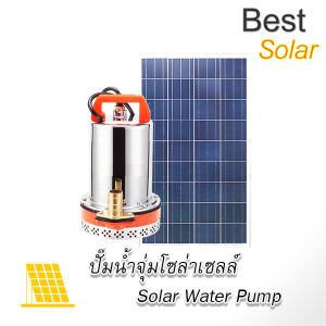 ปั๊มน้ําไดโว่จุ่มแช่ โซล่าเซลล์ 300w (ต่อไฟบ้าน / แบตเตอรี่ / ตั้งเวลาได้ )