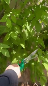 Multifunctional Gardening Shears 32cm High Carbon Steel Pruning Tool for Lawn and Hedge Maintenance