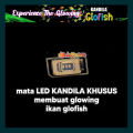 Kandila Lampu Glofish GLO 300 lampu view ikan glo fish glowfish. 