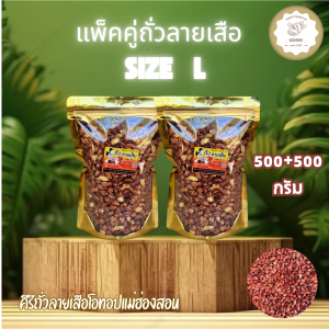 แพ็คคู่ !! ถั่วลายเสือคั่วเกลือสดใหม่ ขนาด 500 กรัม 2 ถุง (รวม 1000 กรัม) สินค้า OTOP จากจังหวัดแม่ฮ่องสอน
