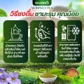 ของแท้100% KHUNNOI ชามะรุม แบรนด์คุณน้อย 1 แถม 1 (60 ซอง) ไม่มีน้ำตาล เพื่อสุขภาพ. 