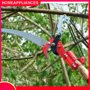 【HCM/24H】Đầu kéo tỉa cành cắt cành cây trên caohái quả kết hợp cưa cành